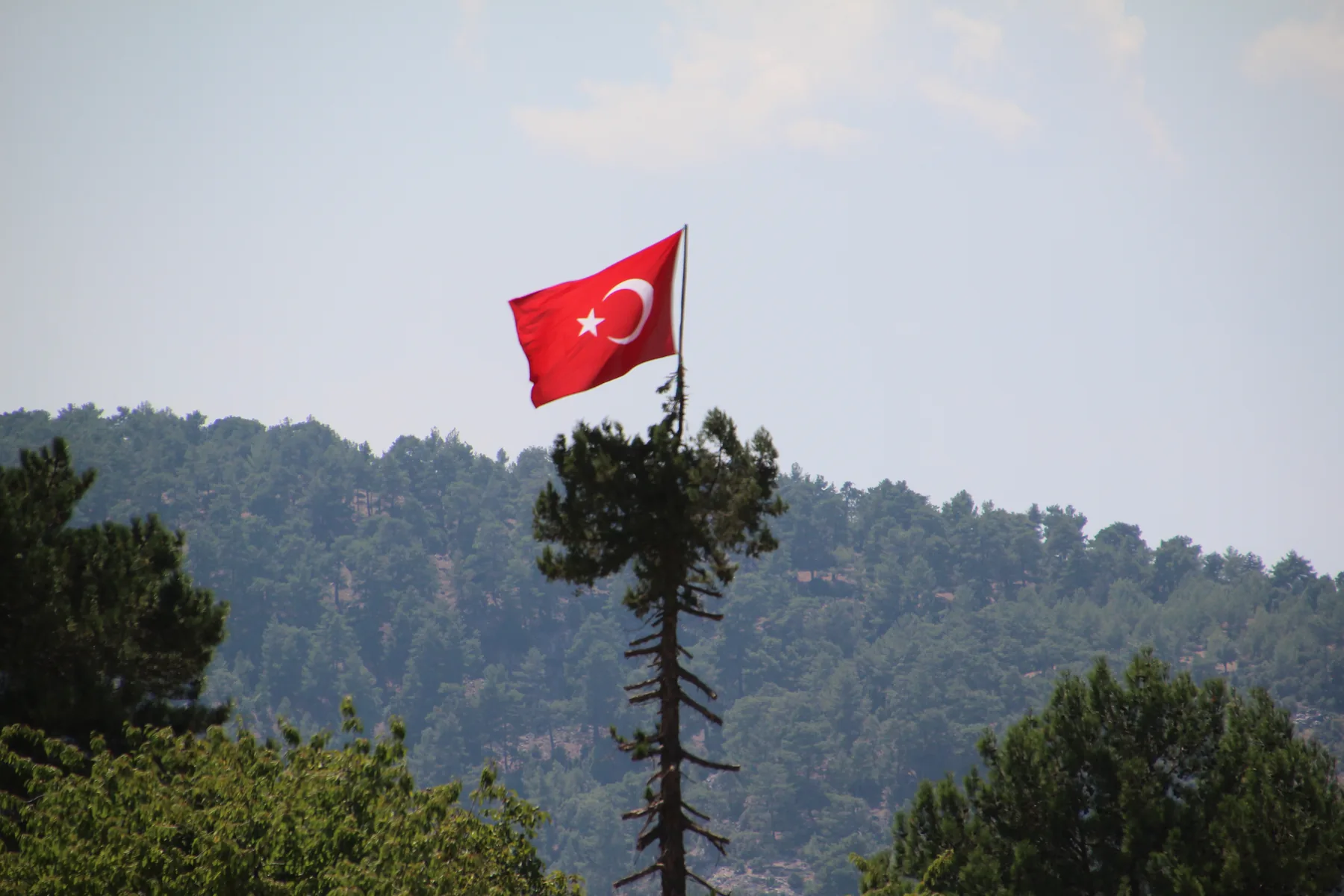 Mustafa Ünal fotoğraf arşivinden seçki